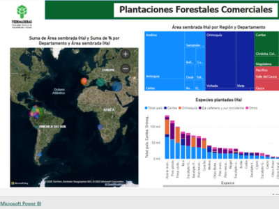 Planeación emergente